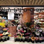 Castlecrag Florist: Flowers for Sydney’s Most Deliberately Designed Suburb